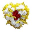 dillo con un fiore